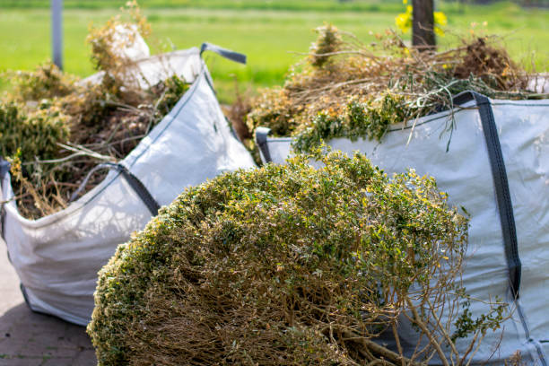Best Trash Removal Near Me  in West Yarmouth, MA